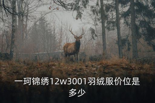 一珂錦繡12w3001羽絨服價(jià)位是多少