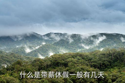 帶薪假期，帶薪休假是什么意思
