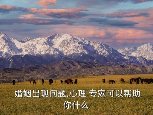 婚姻咨詢專家