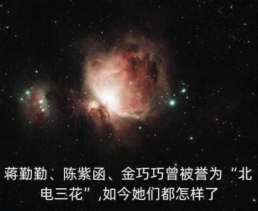 陳莎莎