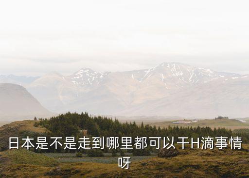 日本是不是走到哪里都可以干H滴事情呀