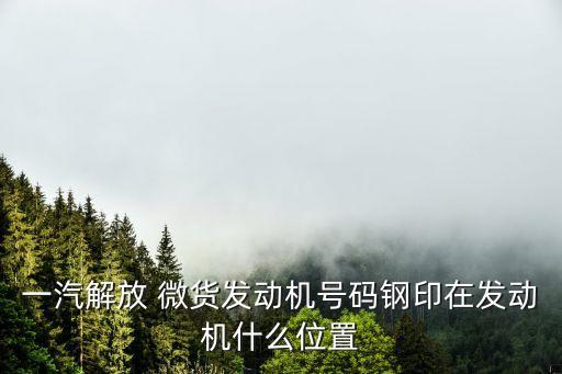 一汽解放 微貨發(fā)動(dòng)機(jī)號(hào)碼鋼印在發(fā)動(dòng)機(jī)什么位置