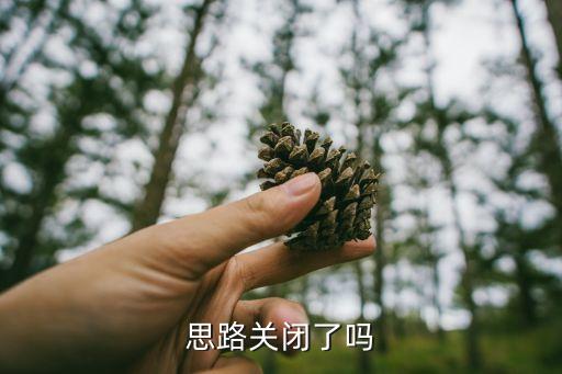 思路論壇，思路論壇的頁(yè)面控件是不是出故障了