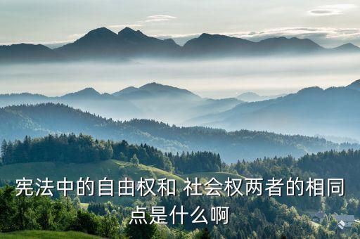 憲法中的自由權(quán)和 社會(huì)權(quán)兩者的相同點(diǎn)是什么啊
