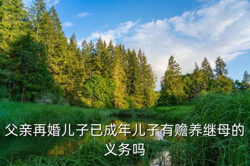 繼母和兒子，法律規(guī)定親生兒子與繼子是平均分配嗎