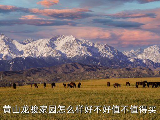 黃山龍駿家園怎么樣好不好值不值得買