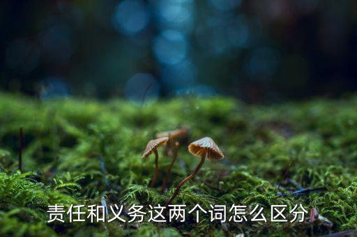 責任和義務這兩個詞怎么區(qū)分