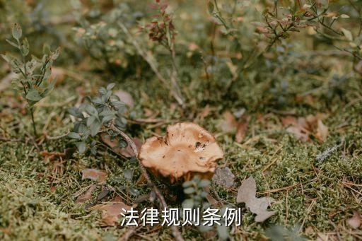 法律規(guī)定，法律規(guī)則條例