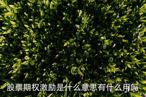 期權(quán)激勵，什么是股票期權(quán)激勵