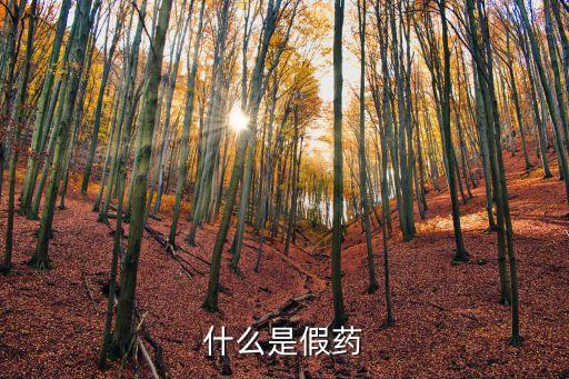 什么是假藥，偽藥的概念是什么