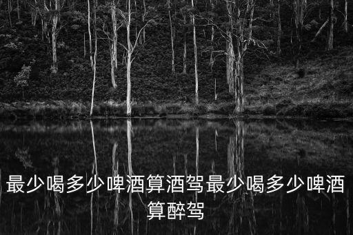 喝多少啤酒算酒駕，啤酒喝多少算酒駕