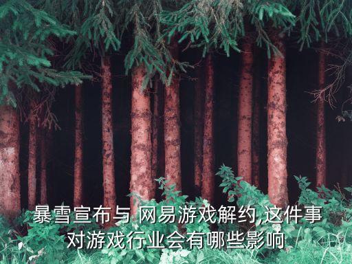  暴雪宣布與 網易游戲解約,這件事對游戲行業(yè)會有哪些影響