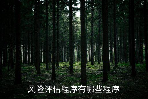 風(fēng)險評估程序有哪些程序