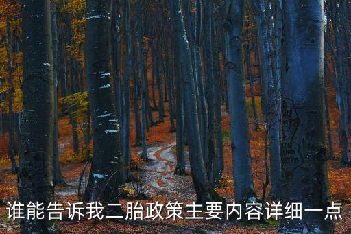 二胎政策，誰能告訴我二胎政策主要內(nèi)容詳細一點