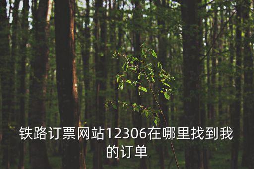鐵路訂票網(wǎng)站12306在哪里找到我的訂單