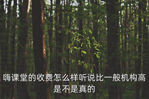 嗨學堂，嗨課堂學費多少