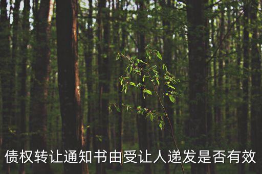 債權(quán)轉(zhuǎn)讓通知書(shū)由受讓人遞發(fā)是否有效