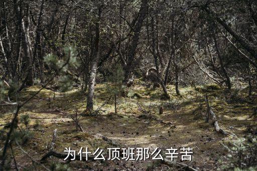 頂班，為什么頂班那么辛苦
