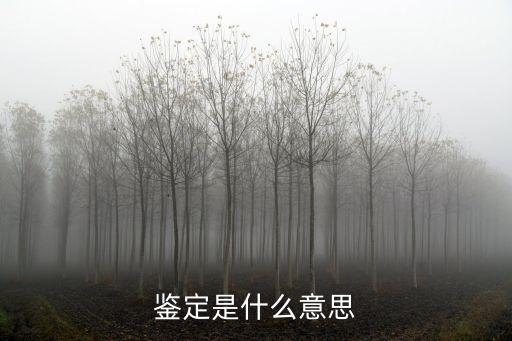 鑒定是什么意思，鑒定的意思是什么快來答案速度