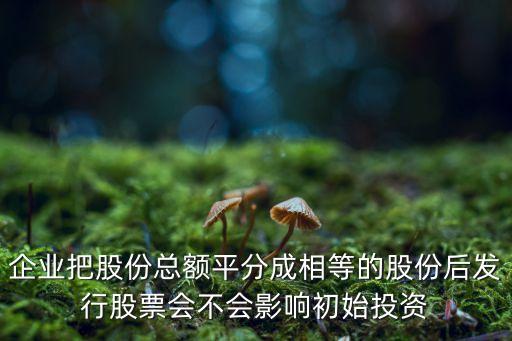 總額分成，如何將已作會計處理的實收資本總額分成明細