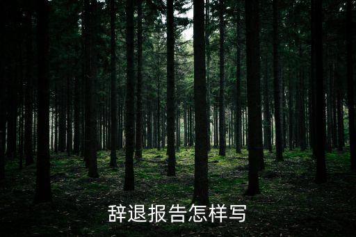 辭退書，辭退報告怎樣寫