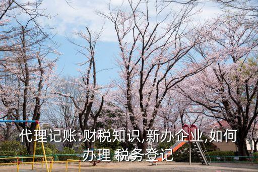 稅務(wù)顧問