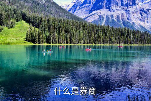 券商是什么意思，券商是什么意思