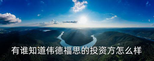 新鼎資本，有誰知道偉德福思的投資方怎么樣