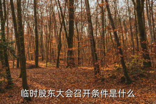 臨時(shí)股東大會(huì)召開(kāi)條件是什么