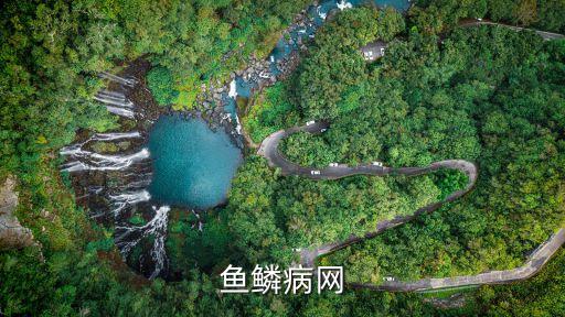 魚(yú)鱗病網(wǎng)