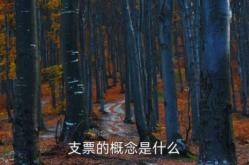 支票的概念是什么