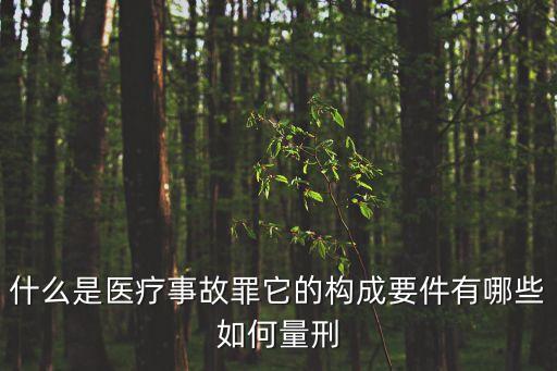 醫(yī)療事故罪，什么是醫(yī)療事故罪
