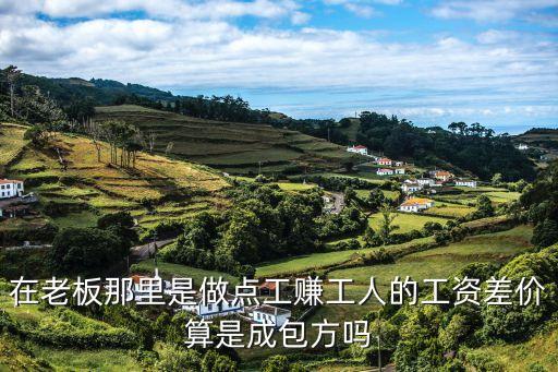 包方，接包方與賣方是一個(gè)意思嗎
