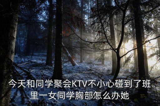今天和同學聚會KTV不小心碰到了班里一女同學胸部怎么辦她