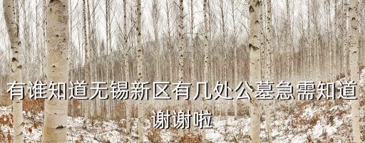 有誰(shuí)知道無(wú)錫新區(qū)有幾處公墓急需知道謝謝啦