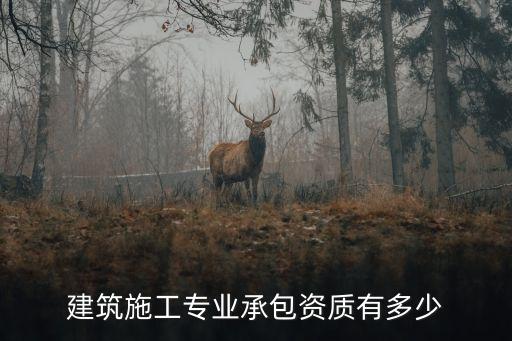 專業(yè)承包資質(zhì)，專業(yè)承包新資質(zhì)等級(jí)發(fā)生變化的有哪些