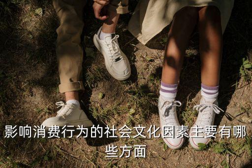 影響消費(fèi)行為的社會(huì)文化因素主要有哪些方面