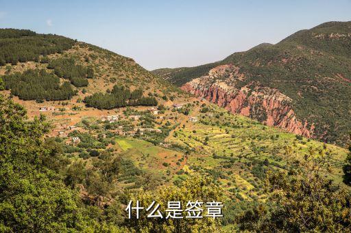 什么是簽章