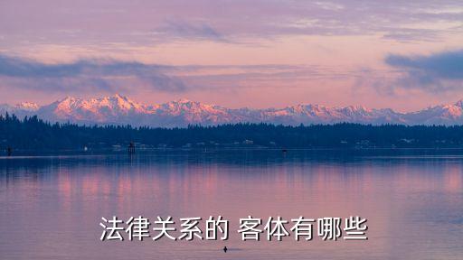 合同法律中的客體是指什么