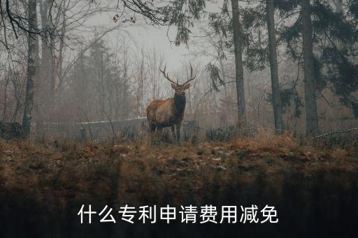 專利費減，什么專利申請費用減免