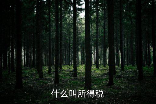 所得稅，什么是所得稅