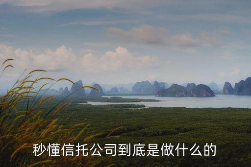 秒懂信托公司到底是做什么的