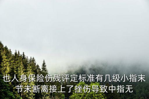 也人身保險(xiǎn)傷殘?jiān)u定標(biāo)準(zhǔn)有幾級(jí)小指末節(jié)未斷離接上了挫傷導(dǎo)致中指無