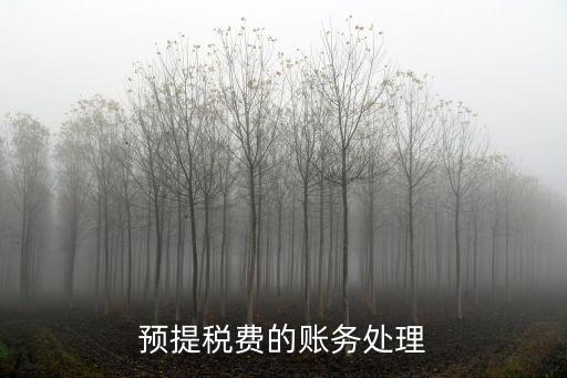預提稅費的賬務(wù)處理