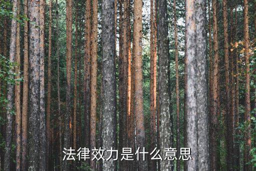 法律效力，法律有效力嗎