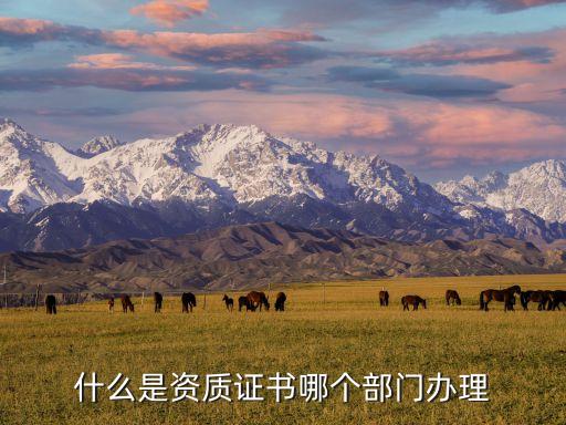資質(zhì)證書，什么是資質(zhì)證