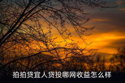 宜拍貸，拍拍貸和宜人貸那個可靠度高