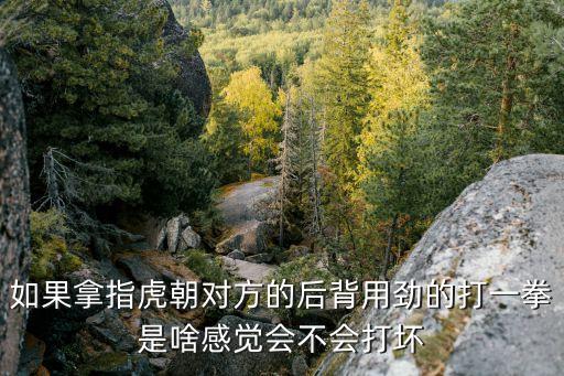 如果拿指虎朝對(duì)方的后背用勁的打一拳是啥感覺(jué)會(huì)不會(huì)打壞