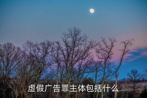 虛假廣告，什么是虛假廣告