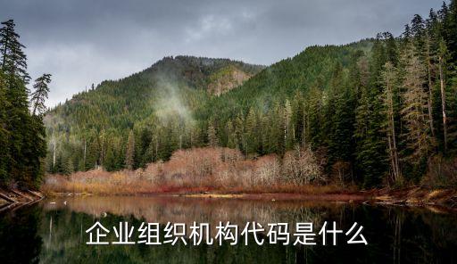 組織代碼，組織代碼是什么東西有什么用